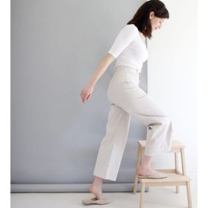 Everlane Lightweight Wide Leg Crop Chinos